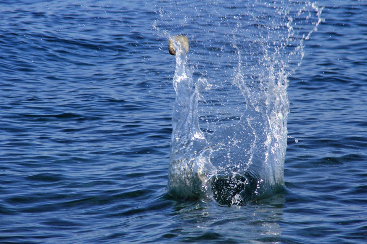 Stein im Wasser