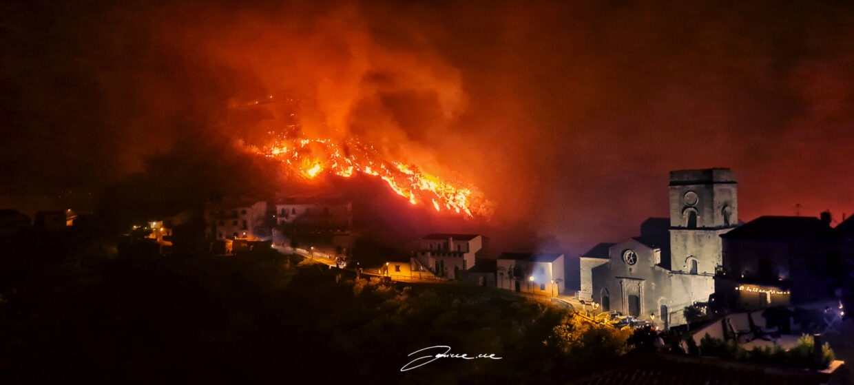 Brand in Savoca